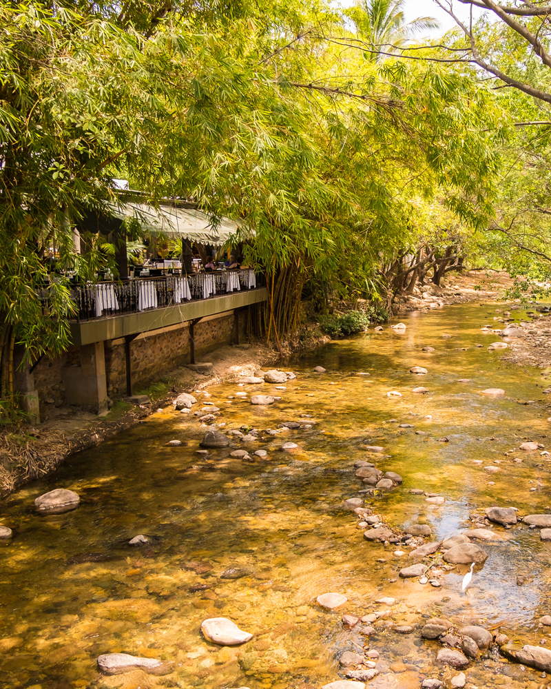 isla-rio-cuale-en-puerto-vallarta.jpg