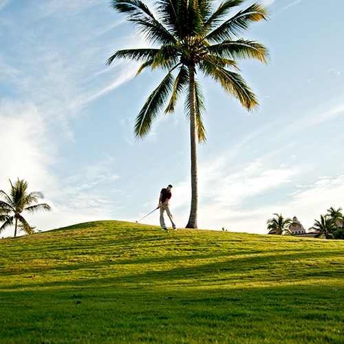 Golf Courses in Puerto Vallarta: A Paradise for Golf Enthusiasts