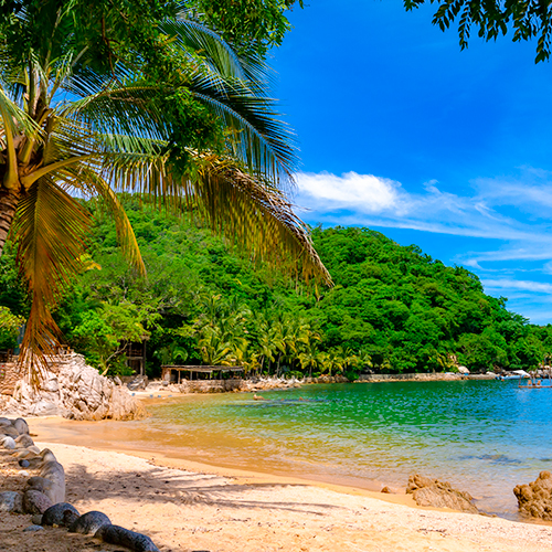 Puerto Vallarta, a journey of sun and sand in this 2020