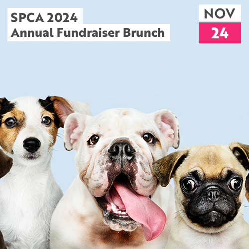 SPCA 2024 Annual Fundraiser Brunch