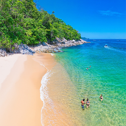 What to Do in Puerto Vallarta in February: Top Outdoor Activities, Delicious Cuisine, and Stunning Beaches