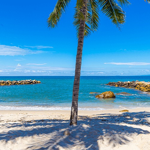 Top 10 Puerto Vallarta Beaches You Must Visit