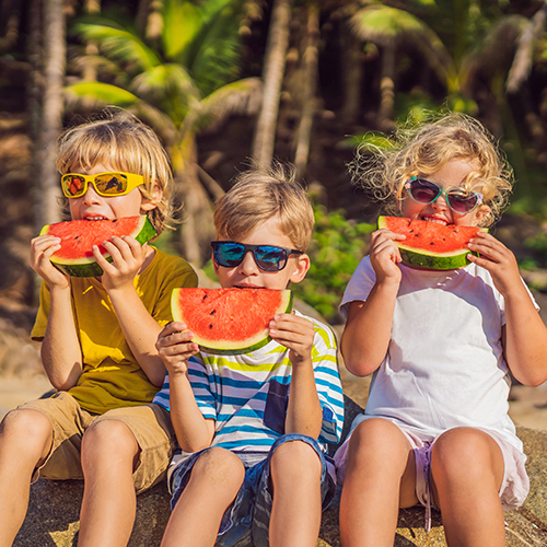 Puerto Vallarta for families: what to do on your summer vacations