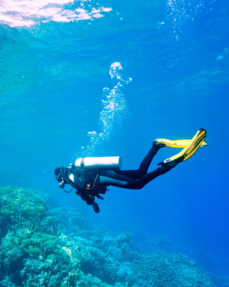 Scuba Diving in Puerto Vallarta