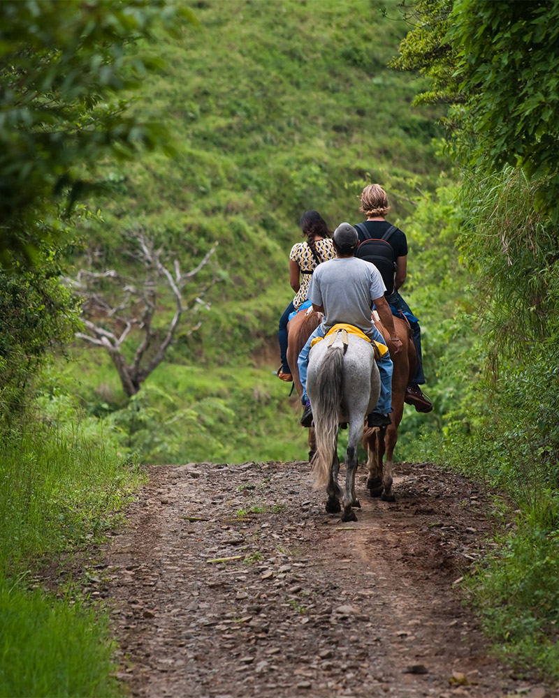 Horseback Riding in Puerto Vallarta