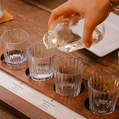 Four Experiences to Discover Raicilla From the Coast of Jalisco