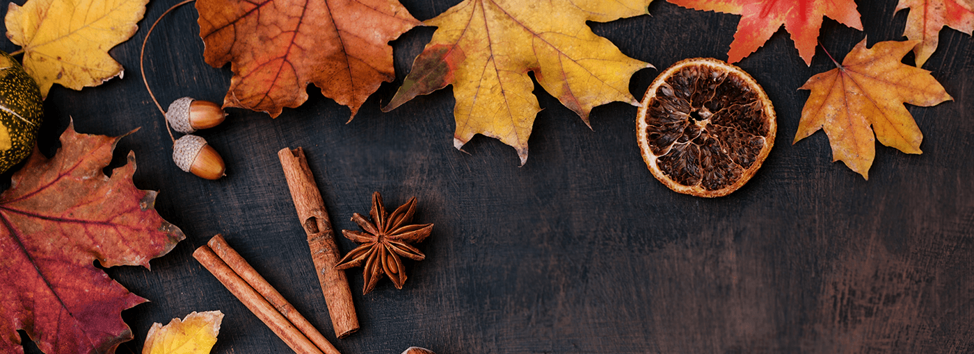 Five Special Experiences to Celebrate Thanksgiving in Puerto Vallarta