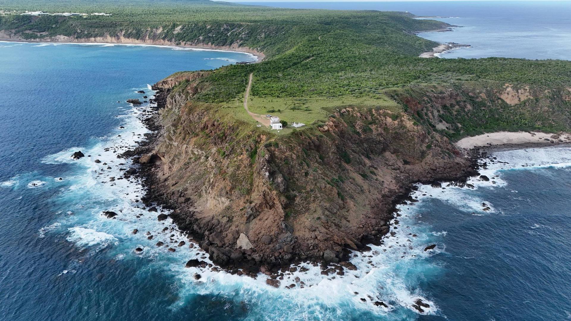 Three New Must-See Experiences in Puerto Vallarta for Sea Lovers