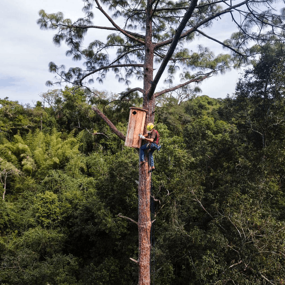 The Macaw Sanctuary in Puerto Vallarta–A Refuge of Wildlife, Color, and Hope