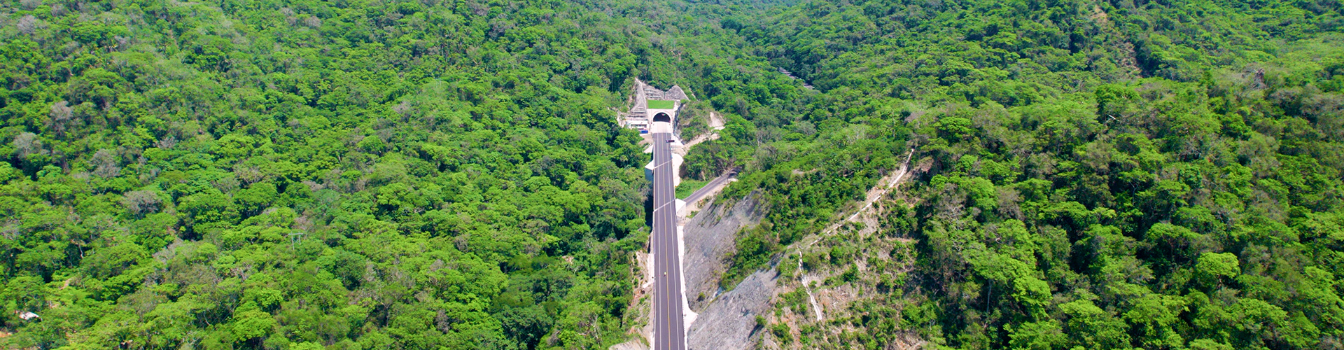 Puerto Vallarta: Great Experiences to Discover on the First Long Weekend of 2026