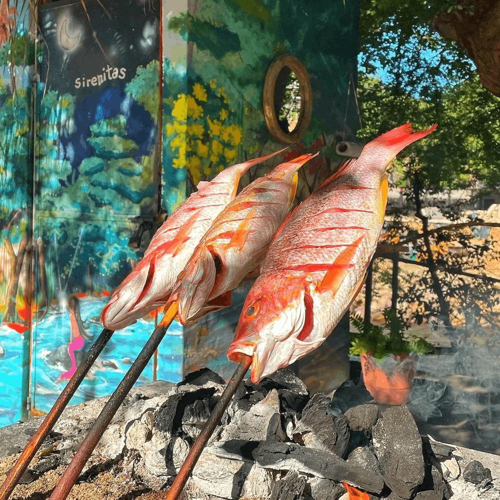 Magellan Awards: Puerto Vallarta Named the Best Destination for Foodies and LGBTQ+ Travelers