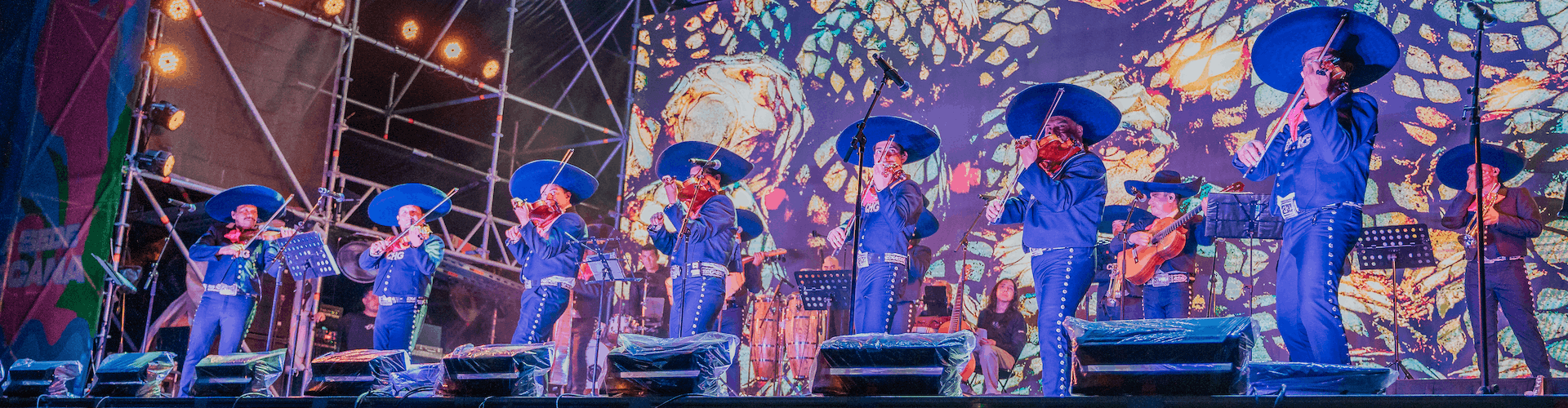 Puerto Vallarta for Soccer Fans: Meet the Acts That Make the Fan Zone Experience So Vibrant