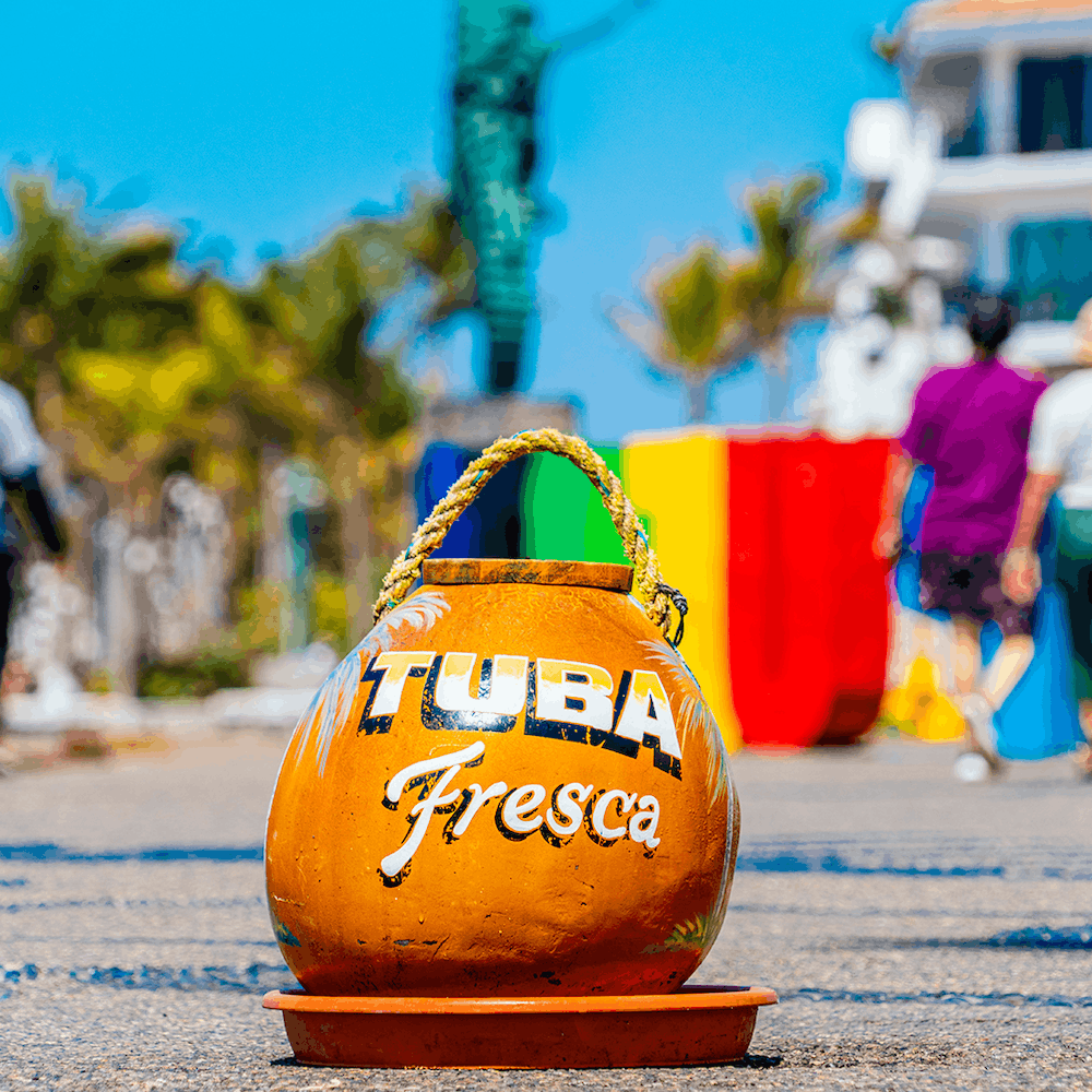 A Guide to Eat Like A Local in Downtown Puerto Vallarta