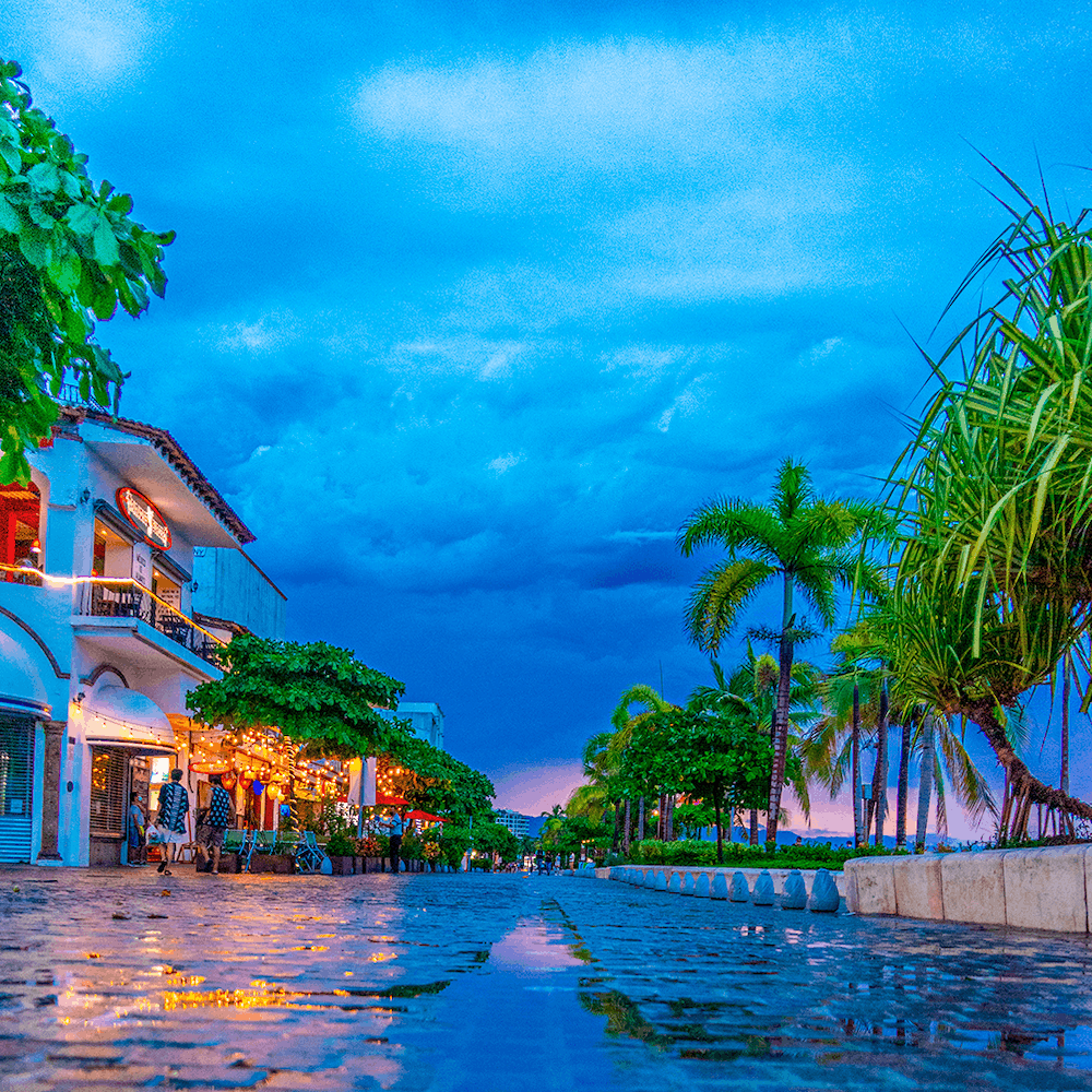 Puerto Vallarta’s Rainy Season: 6 Essential Experiences