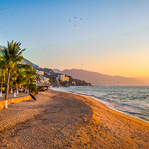 15 signs that you need a trip to the beach