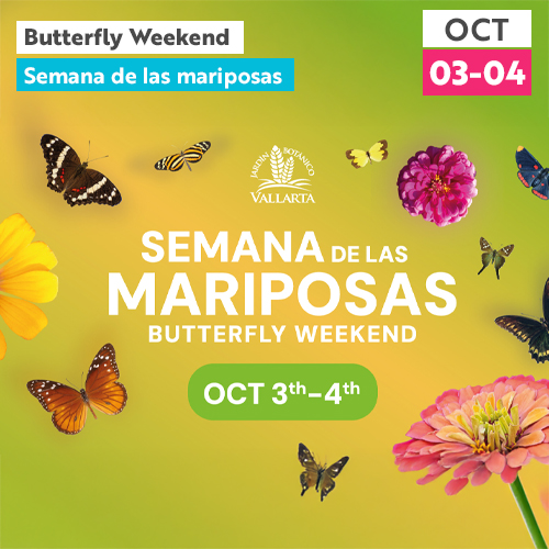 Butterfly Weekend