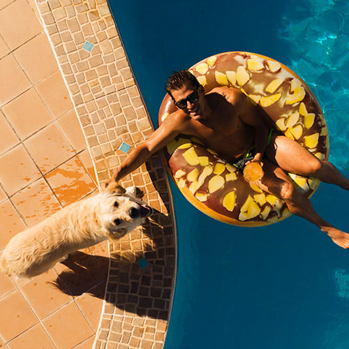 Puerto Vallarta, the best Pet Friendly destination