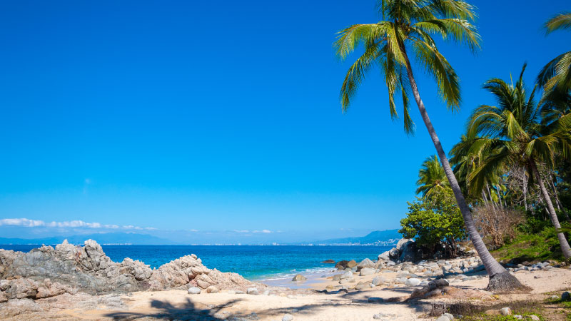 7 Reasons To Visit Puerto Vallarta During Summertime Blog