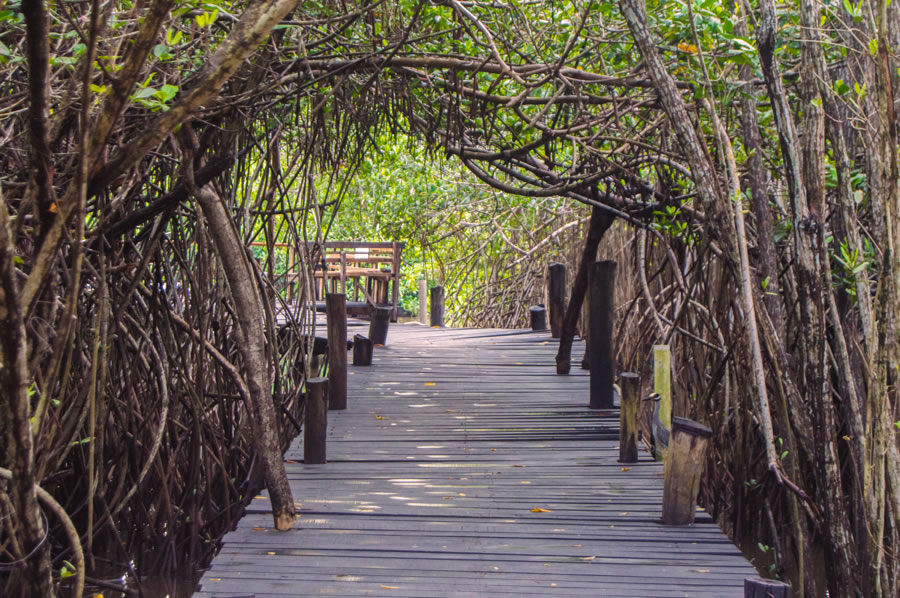 El Salado estuary, natural reservation at Puerto Vallarta