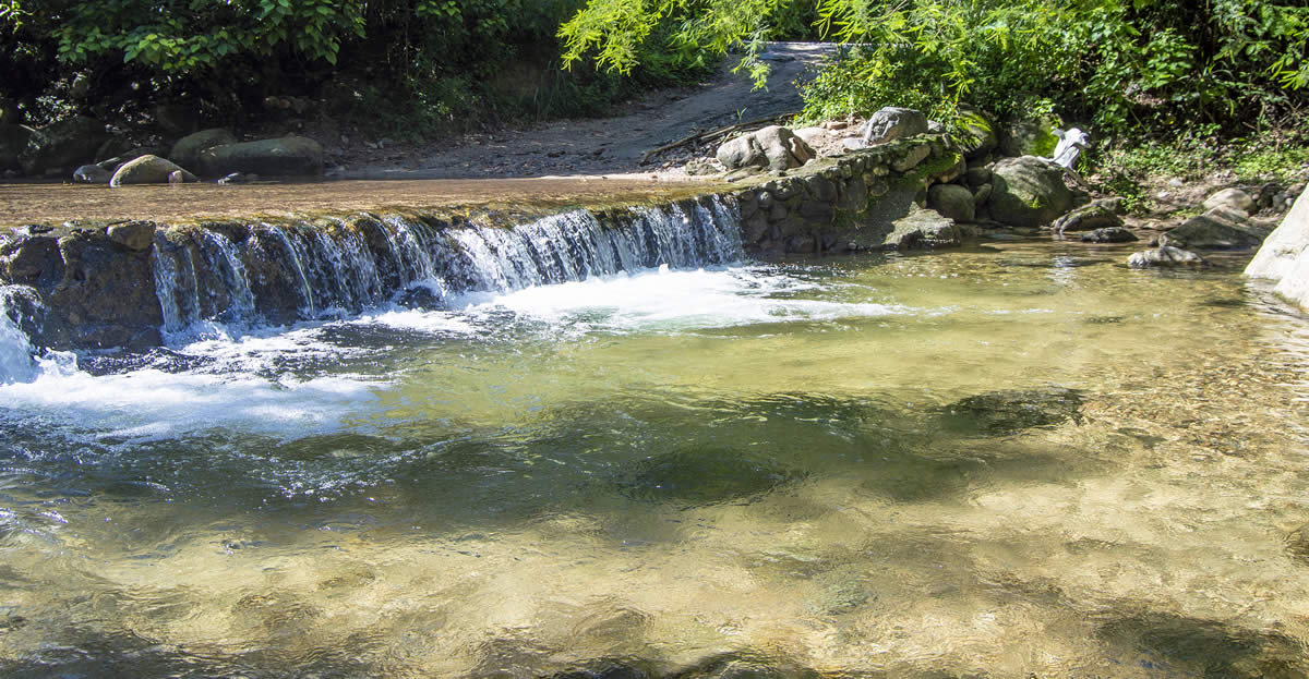 Discover the beauty of El Nogalito.