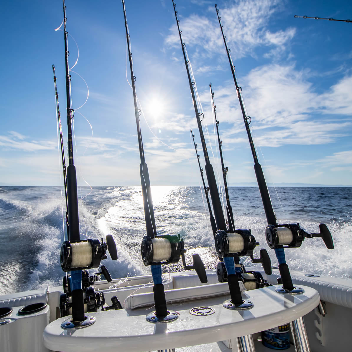Are you a fan of sport fishing? Be part of these tournaments in Puerto Vallarta 