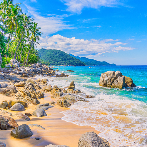 Join us on this tour to revive Puerto Vallarta’s natural charm