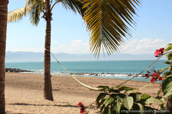 Descubre la playa del Sheraton en Puerto Vallarta