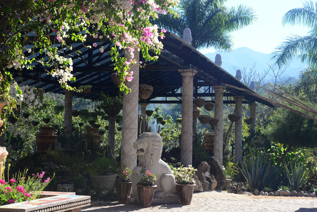 Jardín Botánico de Puerto Vallarta ganó un lugar como uno de los 10 mejores de América del Norte