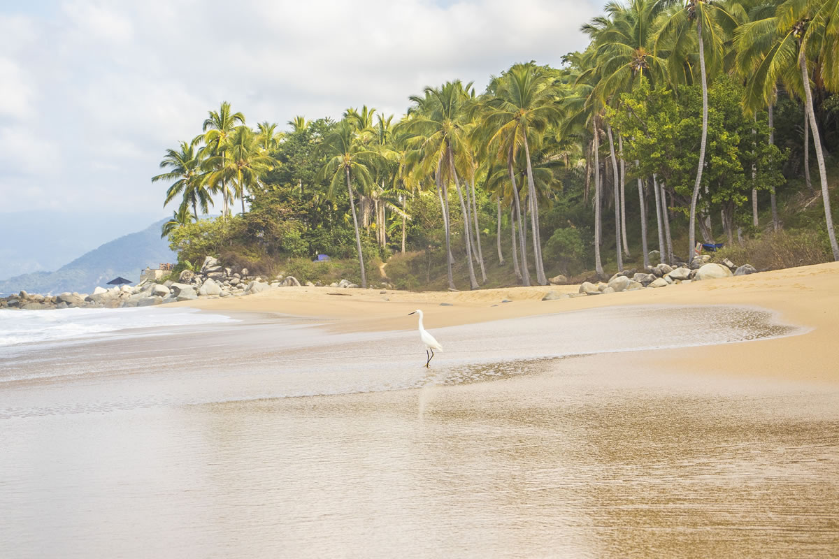 Puerto Vallarta te ofrece múltiples opciones para disfrutar al máximo tu visita