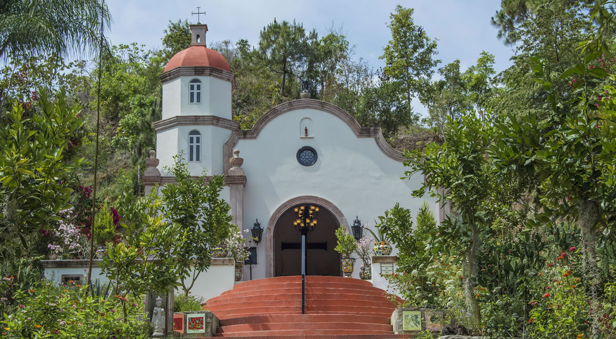 Visita el Jardín Botánico en Puerto Vallarta