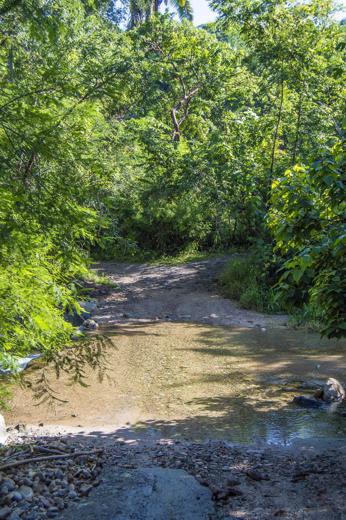 Disfruta del río y refréscate en sus aguas en El Nogalito en Puerto Vallarta