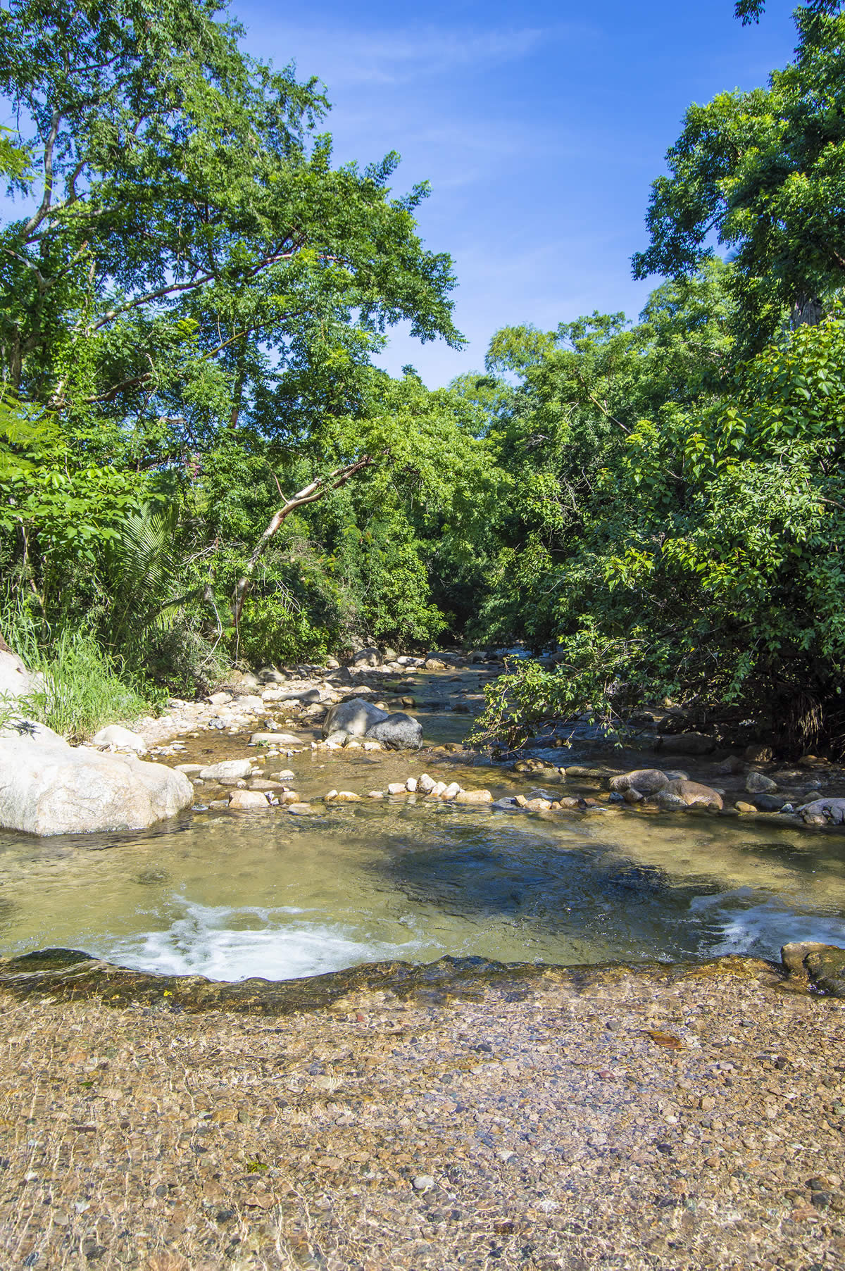 Descubre la belleza de El Nogalito caminando por sus veredas conectando con la naturaleza en Puerto Vallarta