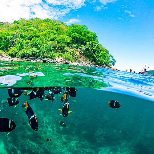 Top Puerto Vallarta Day Trips