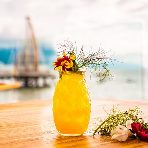 Cheers To Summer: Puerto Vallarta’s Top Raicilla and Tequila Experiences