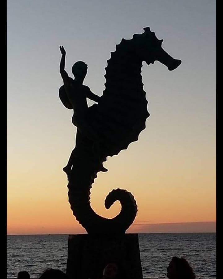 paoola.alvarezgonzalez