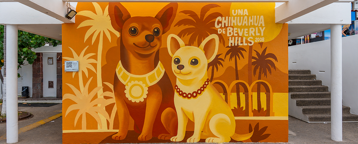 Una chihuahua de Beverly Hills