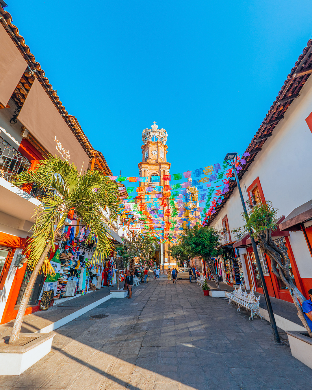 Travel Guide to Puerto Vallarta, Jalisco – Official Tourism Guide